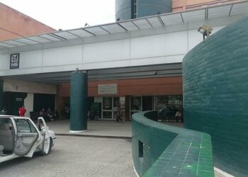 Perro de pelea ataca a niño de un año y le perfora la cabeza