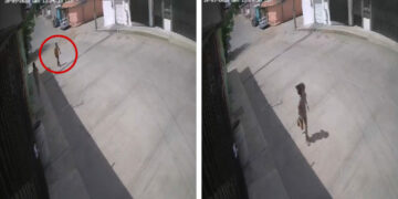 VIDEO: niña muerde a delincuente y frustra secuestro en calles de Tampico, Tamaulipas
