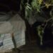 Hallan cadáver quemado en terreno de la ’57