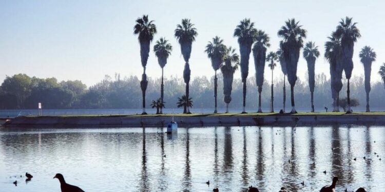 Miércoles parcialmente nublado en San Luis Potosí