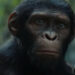 Lanzan tráiler de ‘Kingdom of the Planet Apes’, nueva película ‘El Planeta de los Simios’