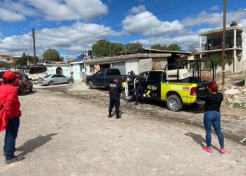 Reportan envenenamiento masivo de perros en Pozuelos