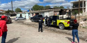 Reportan envenenamiento masivo de perros en Pozuelos