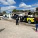 Reportan envenenamiento masivo de perros en Pozuelos