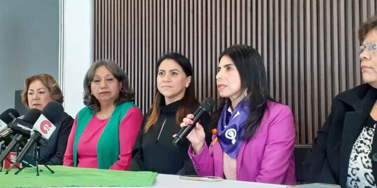 Creadora de Ley Olimpia insta a incluir esta ley en San Luis Potosí