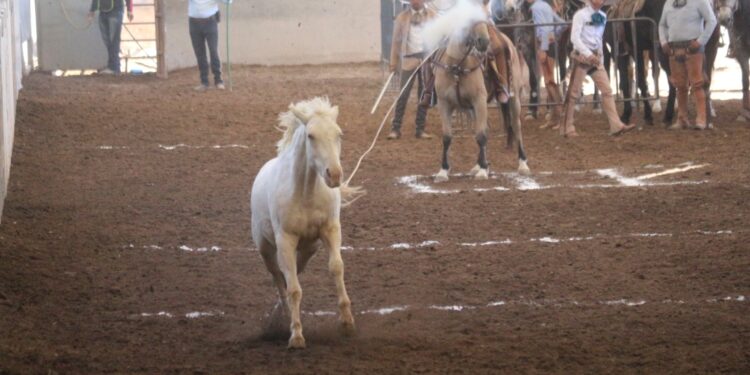Charros y Escaramuzas de San Luis Potosí participarán en el Nacional de Charrería