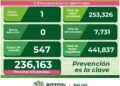 SLP se mantiene con un caso diario de Covid-19