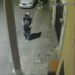 VIDEO: Vecinos del sur de la capital viven con miedo ante robos frecuentes
