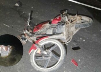 Muere motociclista al impactarse contra un caballo en el Túnel de Ogarrio