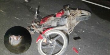 Muere motociclista al impactarse contra un caballo en el Túnel de Ogarrio