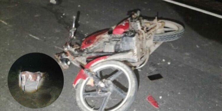 Muere motociclista al impactarse contra un caballo en el Túnel de Ogarrio