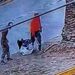 VIDEO: Captan violento asalto en el Barrio de Tlaxcala