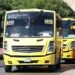 Ajustarán rutas y frecuencias de transporte urbano