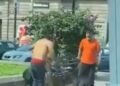 VIDEO: Perros defienden a su dueño en pelea callejera en la capital potosina
