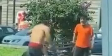 VIDEO: Perros defienden a su dueño en pelea callejera en la capital potosina