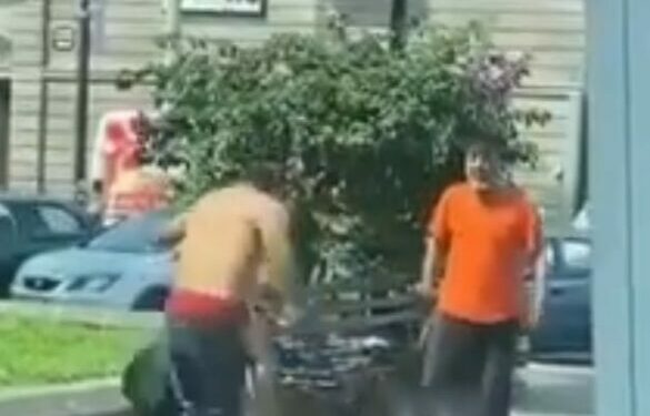 VIDEO: Perros defienden a su dueño en pelea callejera en la capital potosina