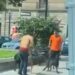 VIDEO: Perros defienden a su dueño en pelea callejera en la capital potosina