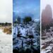 ¡México se pinta de blanco! Cae nieve en varios estados