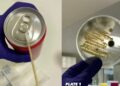 ¿Limpias las latas antes de abrirlas? VIDEO muestra qué tan contaminadas están