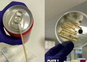 ¿Limpias las latas antes de abrirlas? VIDEO muestra qué tan contaminadas están