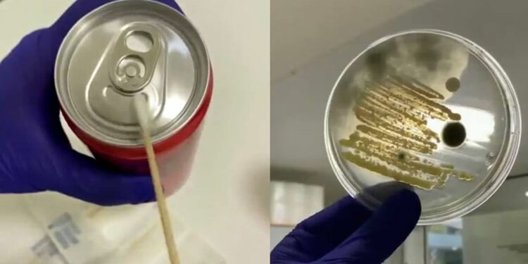 ¿Limpias las latas antes de abrirlas? VIDEO muestra qué tan contaminadas están