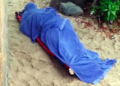 Tiburón muerde y mata a turista  en Zihuatanejo, Guerrero
