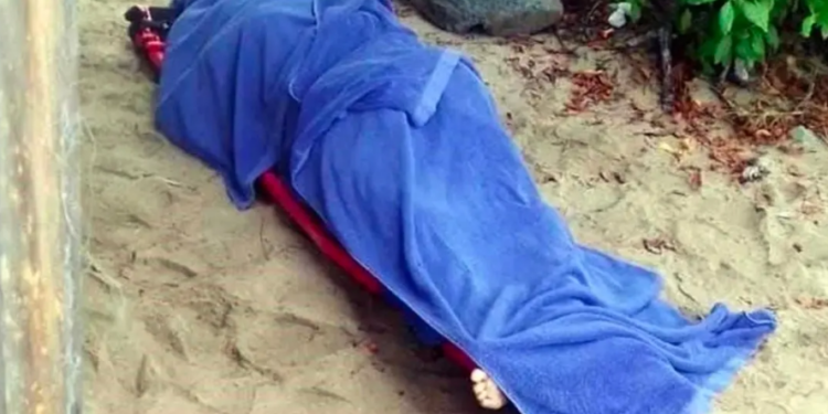 Tiburón muerde y mata a turista en Zihuatanejo, Guerrero