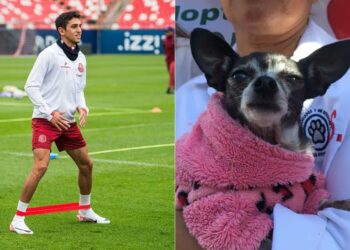¡Futbol y adopción! Atlético de San Luis dará autógrafos en festival canino