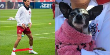 ¡Futbol y adopción! Atlético de San Luis dará autógrafos en festival canino
