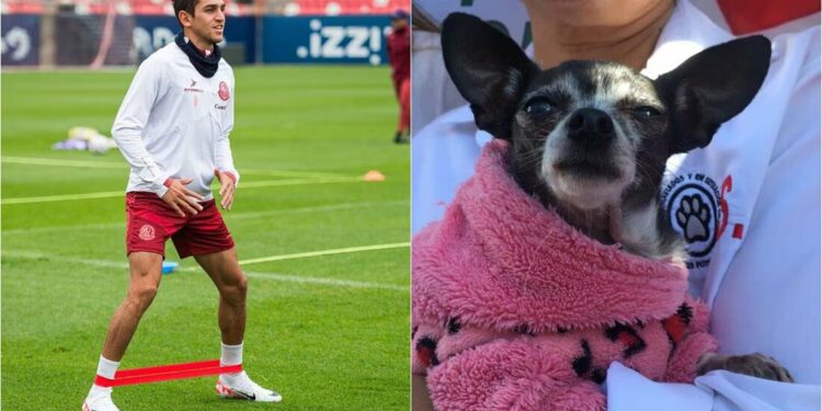 ¡Futbol y adopción! Atlético de San Luis dará autógrafos en festival canino