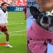 ¡Futbol y adopción! Atlético de San Luis dará autógrafos en festival canino