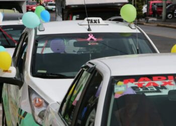 VIDEO: Buscan declarar el 8 de diciembre Día del Taxista y transportista