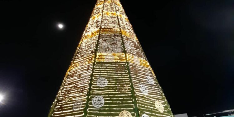 Gobierno invita al incendido del Arbol Navideño Monumental en la Feria Nacional Potosina