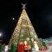 Gobierno invita al incendido del Arbol Navideño Monumental en la Feria Nacional Potosina