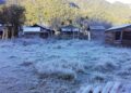 ¡Blanca Navidad sorprende a Xilitla! Comunidades en la Huasteca amanecen bajo escarcha de hielo
