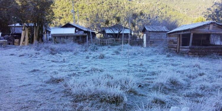 ¡Blanca Navidad sorprende a Xilitla! Comunidades en la Huasteca amanecen bajo escarcha de hielo