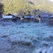 ¡Blanca Navidad sorprende a Xilitla! Comunidades en la Huasteca amanecen bajo escarcha de hielo
