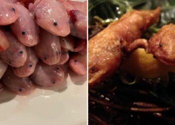 Este es el restaurante japonés que cuenta con ajolote, orca, tiburón y oso pardo en su exótico menú