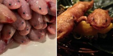 Este es el restaurante japonés que cuenta con ajolote, orca, tiburón y oso pardo en su exótico menú