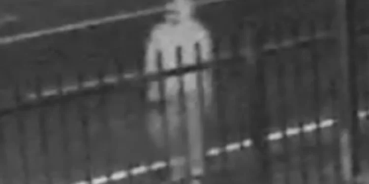 Buscan a presunto asesino en serie de personas sin hogar en Los Ángeles
