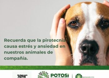 Protección Civil Estatal arranca campaña #CelebraSinPirotecnia
