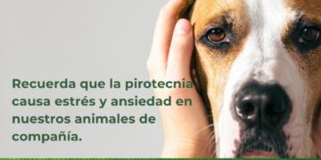 Protección Civil Estatal arranca campaña #CelebraSinPirotecnia