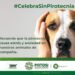 Protección Civil Estatal arranca campaña #CelebraSinPirotecnia