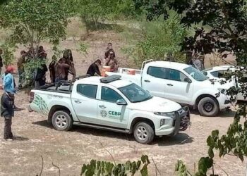 Localizan posible campo de exterminio del crimen organizado en Ciudad Valles