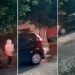 Conductor atropella a mujer de 85 años y pasa por encima de ella al huir