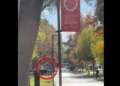 Videos | Tiroteo en universidad de Las Vegas deja varias víctimas; sospechoso fue abatido