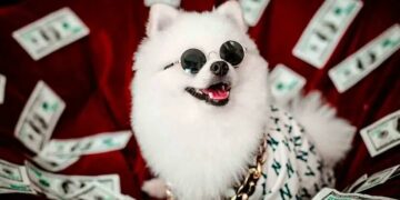 Abuelita deja millonaria herencia a sus mascotas porque sus hijos no la visitaron nunca