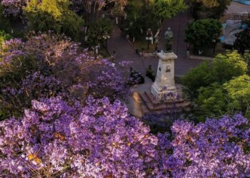 Miércoles nublado en San Luis Potosí