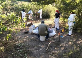 VIDEO: Primera fase de búsqueda concluida en el narcocampamento de Ciudad Valles