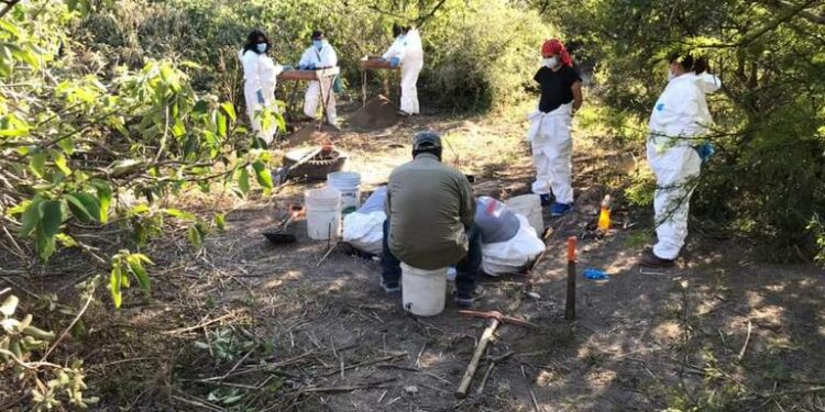 VIDEO: Primera fase de búsqueda concluida en el narcocampamento de Ciudad Valles